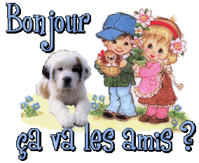 bonjour-ca-va-les-amis
