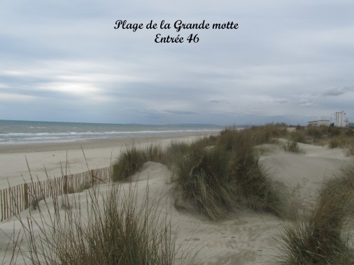 les plages (31)