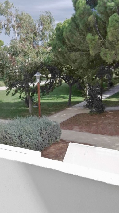 IMG_20150824_165743 (788x1400)