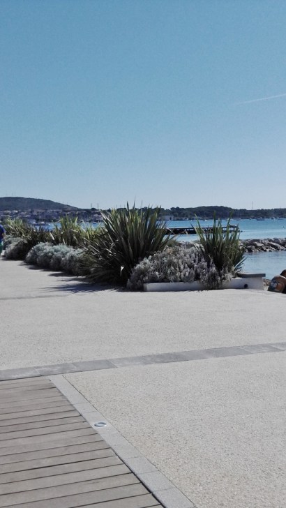 IMG_20150825_104821 (788x1400)