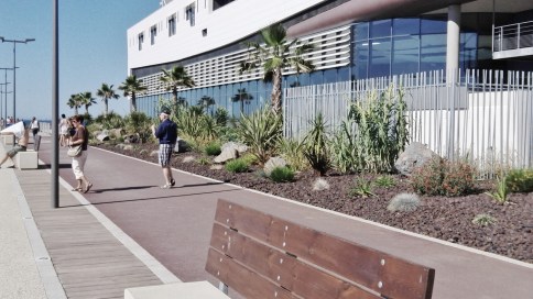 IMG_20150825_104913 (1400x788)