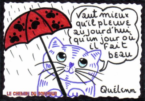 aphorisme-de-Monsieur-LE-CHAT